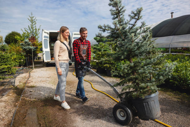 Reliable Barre, VT Tree Services Solutions